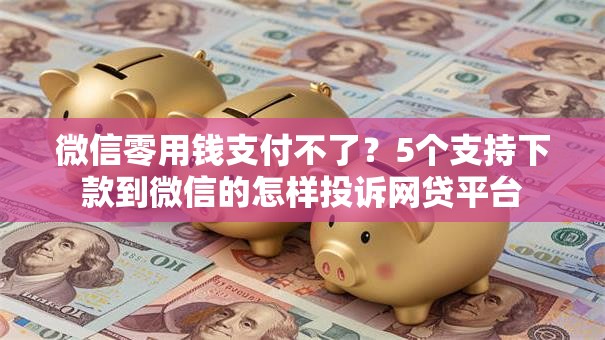 微信零用钱支付不了？5个支持下款到微信的怎样投诉网贷平台