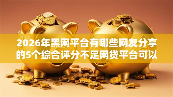 2026年黑网平台有哪些网友分享的5个综合评分不足网贷平台可以借款我觉得不错！