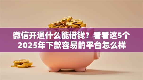 微信开通什么能借钱？看看这5个2025年下款容易的平台怎么样