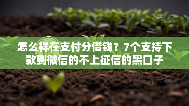 怎么样在支付分借钱?7个支持下款到微信的不上征信的黑口子 怎么样在支付分借钱?7个支持下款到微信的不上征信的黑口子