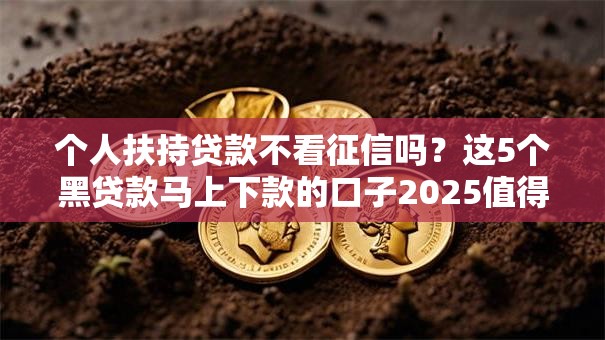 个人扶持贷款不看征信吗?这5个黑贷款马上下款的口子2025值得一试 个人扶持贷款不看征信吗?这5个黑贷款马上下款的口子2025值得一试