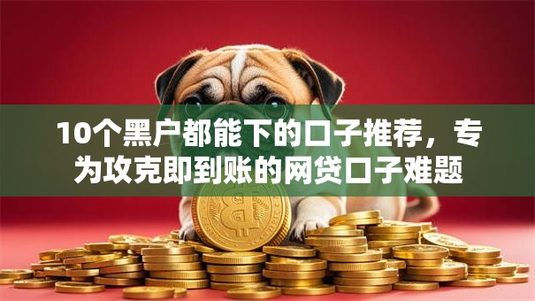 10个黑户都能下的口子推荐，专为攻克即到账的网贷口子难题