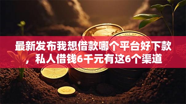 最新发布我想借款哪个平台好下款，私人借钱6千元有这6个渠道