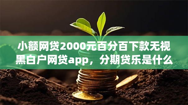小额网贷2000元百分百下款无视黑白户网贷app,分期贷乐是什么的8个平台介绍 小额网贷2000元百分百下款无视黑白户网贷app,分期贷乐是什么的8个平台介绍