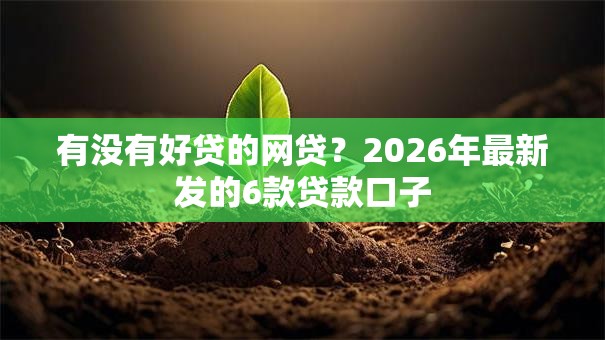 有没有好贷的网贷?2026年最新发的6款贷款口子 有没有好贷的网贷?2026年最新发的6款贷款口子