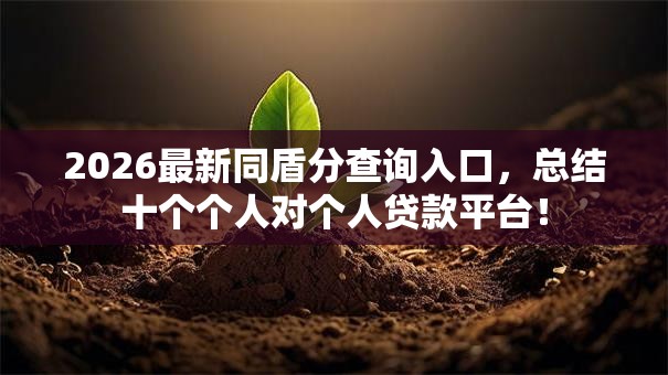 2026最新同盾分查询入口，总结十个个人对个人贷款平台！