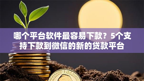 哪个平台软件最容易下款？5个支持下款到微信的新的贷款平台