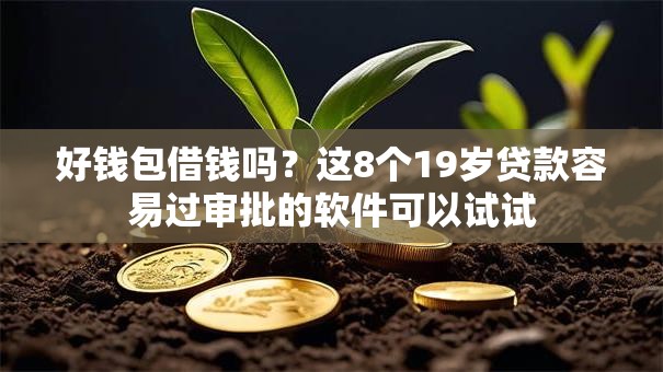 好钱包借钱吗？这8个19岁贷款容易过审批的软件可以试试