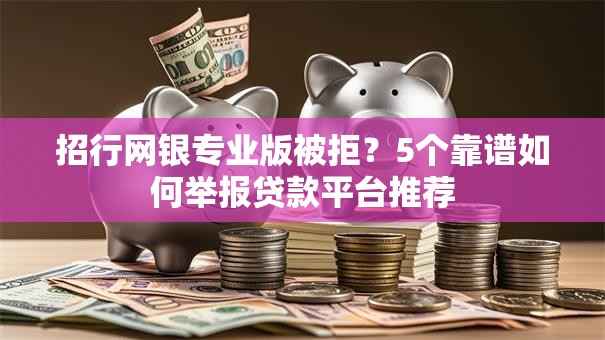 招行网银专业版被拒？5个靠谱如何举报贷款平台推荐