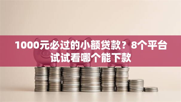 1000元必过的小额贷款？8个平台试试看哪个能下款