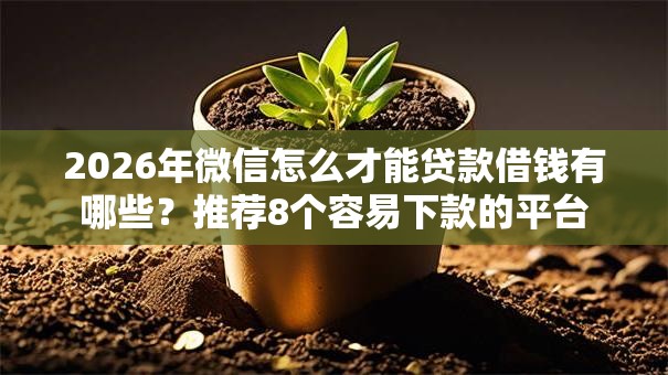 2026年微信怎么才能贷款借钱有哪些？推荐8个容易下款的平台