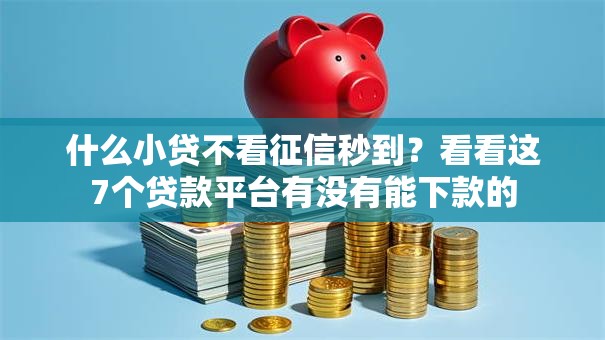 什么小贷不看征信秒到？看看这7个贷款平台有没有能下款的