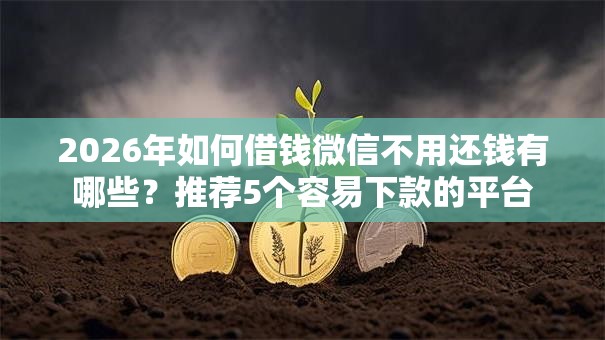 2026年如何借钱微信不用还钱有哪些?推荐5个容易下款的平台 2026年如何借钱微信不用还钱有哪些?推荐5个容易下款的平台