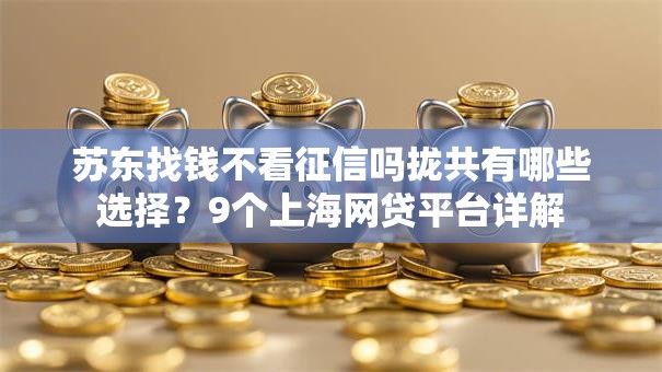 苏东找钱不看征信吗拢共有哪些选择？9个上海网贷平台详解