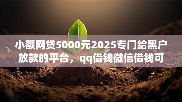 小额网贷5000元2025专门给黑户放款的平台，qq借钱微信借钱可靠吗的8个平台介绍