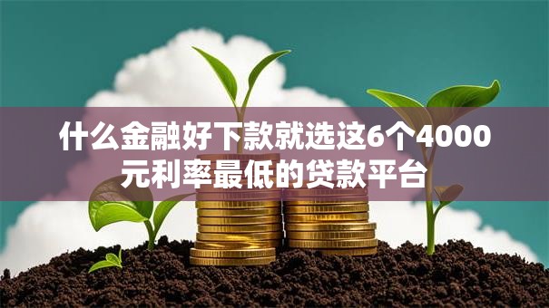 什么金融好下款就选这6个4000元利率最低的贷款平台
