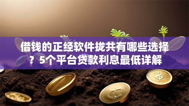 借钱的正经软件拢共有哪些选择？5个平台贷款利息最低详解