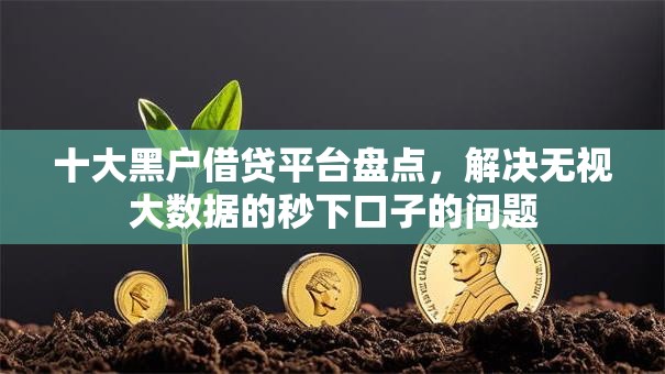 十大黑户借贷平台盘点，解决无视大数据的秒下口子的问题