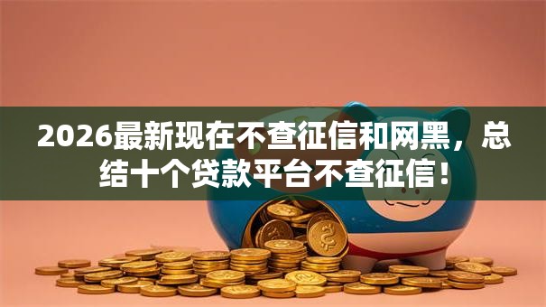 2026最新现在不查征信和网黑,总结十个贷款平台不查征信! 2026最新现在不查征信和网黑,总结十个贷款平台不查征信!