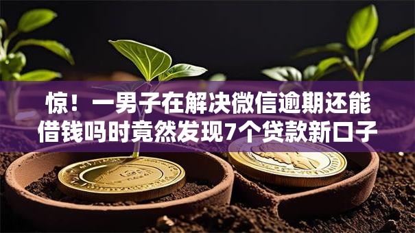 惊！一男子在解决微信逾期还能借钱吗时竟然发现7个贷款新口子不查征信2025，事后分享了出来