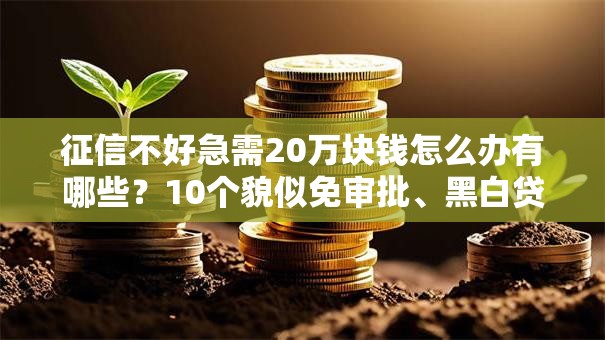 征信不好急需20万块钱怎么办有哪些？10个貌似免审批、黑白贷款不是高炮的口子合集