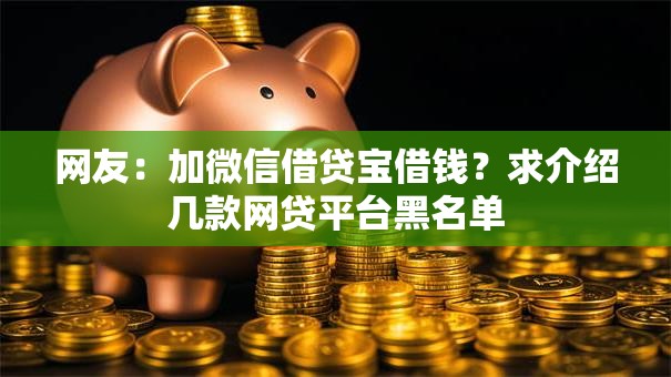 网友：加微信借贷宝借钱？求介绍几款网贷平台黑名单