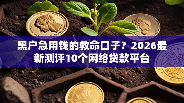 黑户急用钱的救命口子？2026最新测评10个网络贷款平台