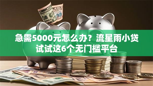 急需5000元怎么办？流星雨小贷试试这6个无门槛平台
