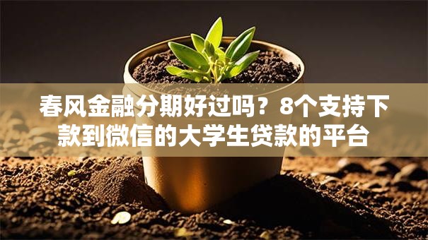 春风金融分期好过吗？8个支持下款到微信的大学生贷款的平台