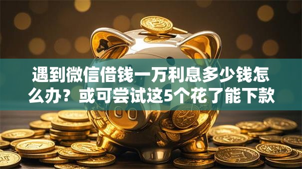 遇到微信借钱一万利息多少钱怎么办?或可尝试这5个花了能下款的口子 遇到微信借钱一万利息多少钱怎么办?或可尝试这5个花了能下款的口子