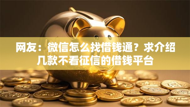 网友：微信怎么找借钱通？求介绍几款不看征信的借钱平台