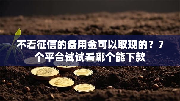 不看征信的备用金可以取现的？7个平台试试看哪个能下款