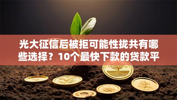光大征信后被拒可能性拢共有哪些选择？10个最快下款的贷款平台详解