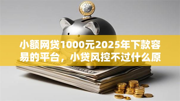 小额网贷1000元2025年下款容易的平台，小贷风控不过什么原因的5个平台介绍