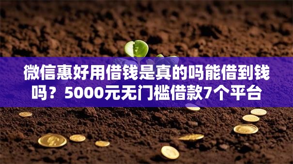 微信惠好用借钱是真的吗能借到钱吗？5000元无门槛借款7个平台推荐