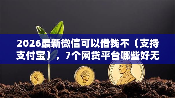 2026最新微信可以借钱不（支持支付宝），7个网贷平台哪些好无私分享