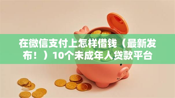 在微信支付上怎样借钱(最新发布!)10个未成年人贷款平台 在微信支付上怎样借钱(最新发布!)10个未成年人贷款平台