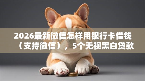 2026最新微信怎样用银行卡借钱（支持微信），5个无视黑白贷款口子无私分享