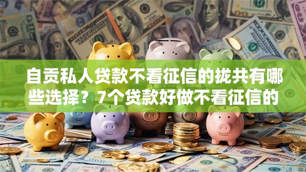 自贡私人贷款不看征信的拢共有哪些选择？7个贷款好做不看征信的口子详解