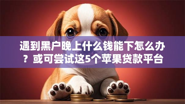 遇到黑户晚上什么钱能下怎么办？或可尝试这5个苹果贷款平台