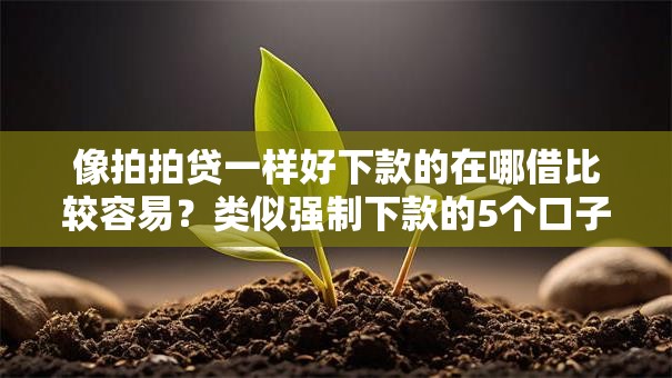 像拍拍贷一样好下款的在哪借比较容易？类似强制下款的5个口子参考