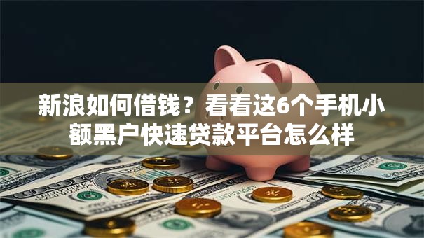 新浪如何借钱？看看这6个手机小额黑户快速贷款平台怎么样