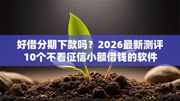 好借分期下款吗？2026最新测评10个不看征信小额借钱的软件