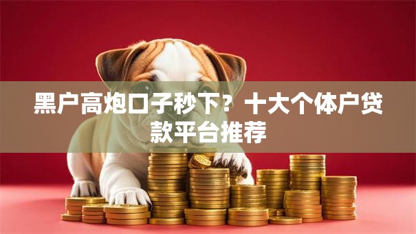 黑户高炮口子秒下?十大个体户贷款平台推荐 黑户高炮口子秒下?十大个体户贷款平台推荐