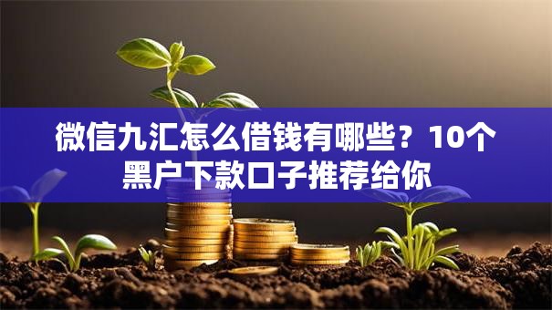 微信九汇怎么借钱有哪些？10个黑户下款口子推荐给你