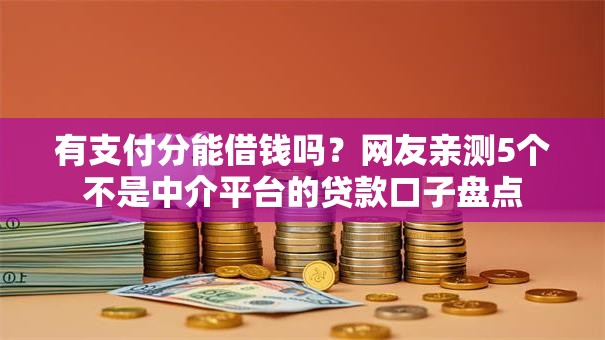 有支付分能借钱吗？网友亲测5个不是中介平台的贷款口子盘点