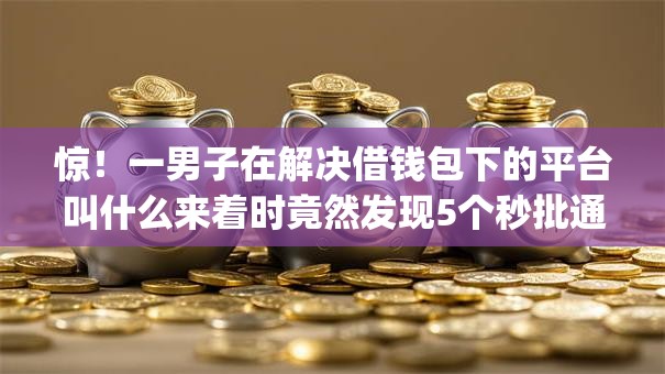 惊！一男子在解决借钱包下的平台叫什么来着时竟然发现5个秒批通过的网贷app，事后分享了出来