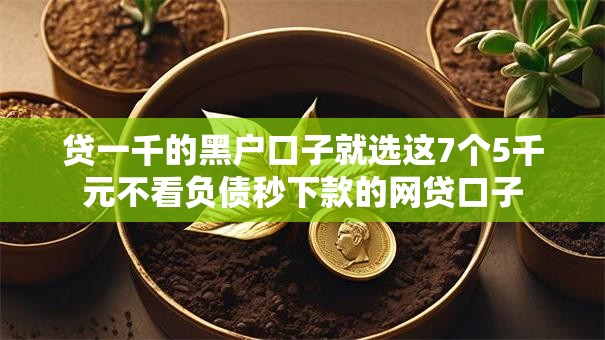 贷一千的黑户口子就选这7个5千元不看负债秒下款的网贷口子