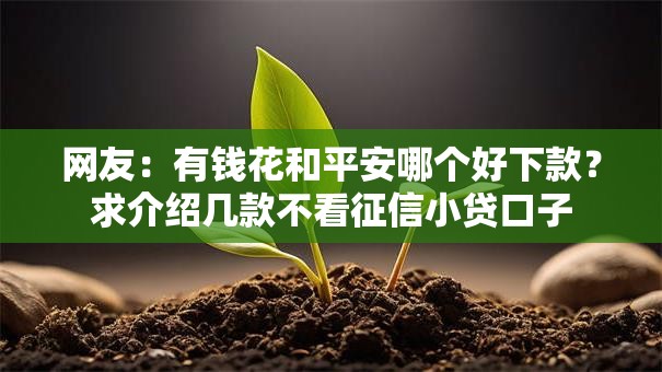 网友：有钱花和平安哪个好下款？求介绍几款不看征信小贷口子