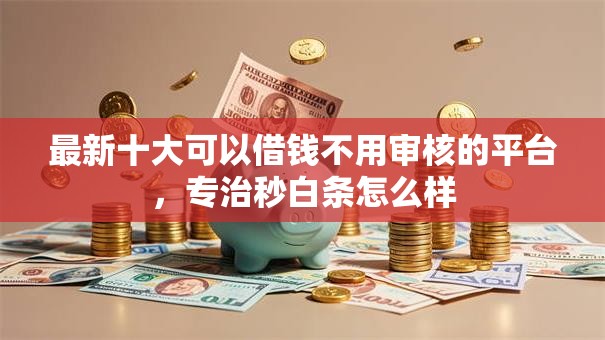 最新十大可以借钱不用审核的平台，专治秒白条怎么样